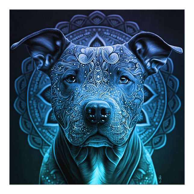 Foto Raza de perro de Pittbull (Frente)