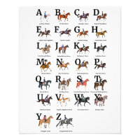 Razas De Caballo Alfabéticamente