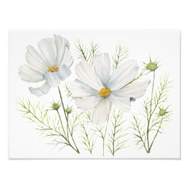 Foto Recubrimiento botánico de las flores de cosmos bla