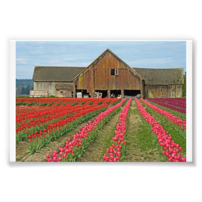 Foto Recuerdos De Primavera. (Frente)