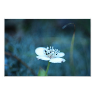 Foto Recuerdos de verano