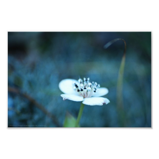 Foto Recuerdos de verano (Frente)