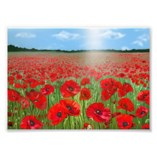 Foto Red poppy field wall art decor landscape