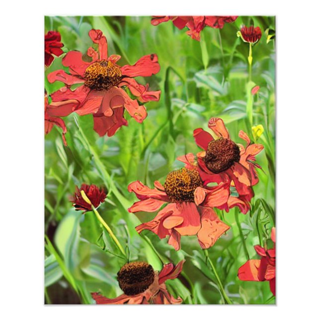 FOTO RED RUDBECKIA FLOWERS (Frente)
