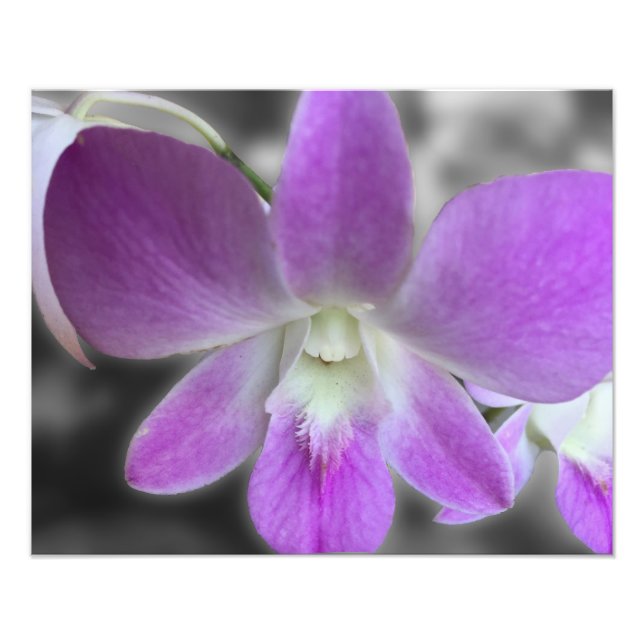 Foto Redimensionamiento de la imagen de personalizado (Frente)