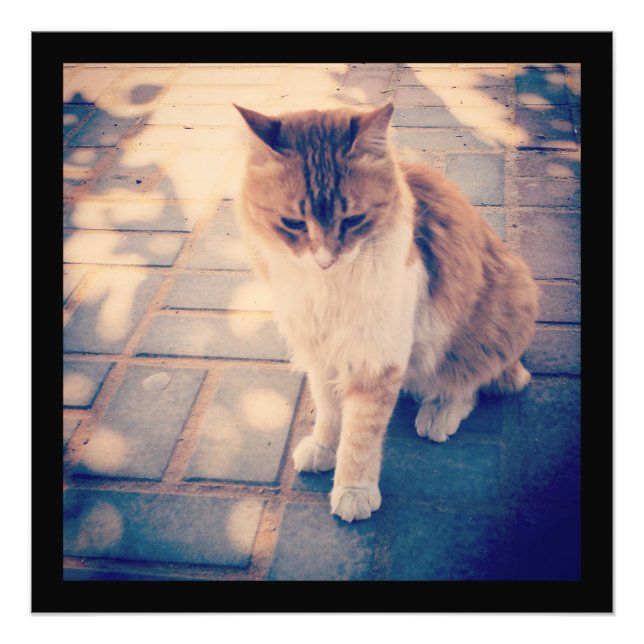 Foto Reflexión (Frente)