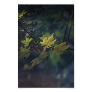 Foto Reflexión de otoño —