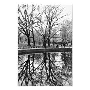 Foto Reflexión sobre los árboles de invierno en Central