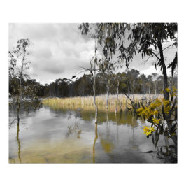 Foto Reflexiones bajo los cielos grises