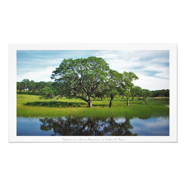 Foto "Reflexiones de una tierra de maravillas", decorac (Frente)