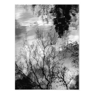 Foto Reflexiones en el agua