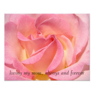 Foto Regalando a mi mamá siempre y por siempre rosas ro