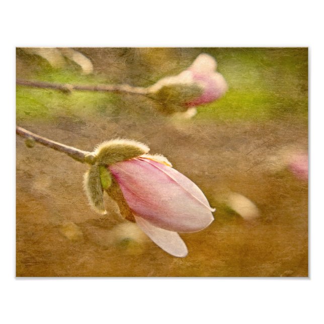 Foto Regalo de esperanza (Frente)