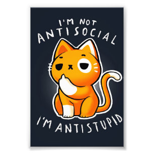 Foto Regalo De Gato Gato Gato Gato Gato Gatito Gato Po