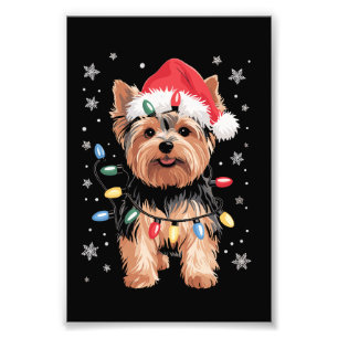 Foto Regalo de Navidad de Yorkie Perro de Navidad Largo