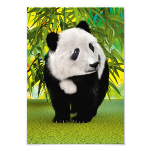 Foto Regalo de oso panda adorable Kawaii para amantes d