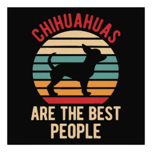 Foto Regalo de perros chihuahua divertidos