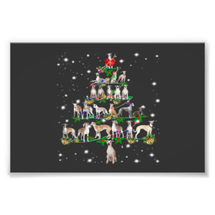 Foto Regalo esencial para amantes de perros Whippet en 