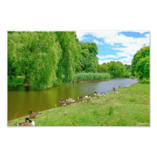 Foto Regent's Park, London Print