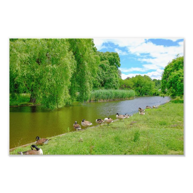 Foto Regent's Park, London Print (Frente)