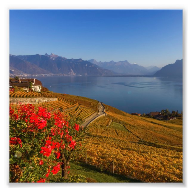 Foto Región de Lavaux, Vaud, Suiza (Frente)