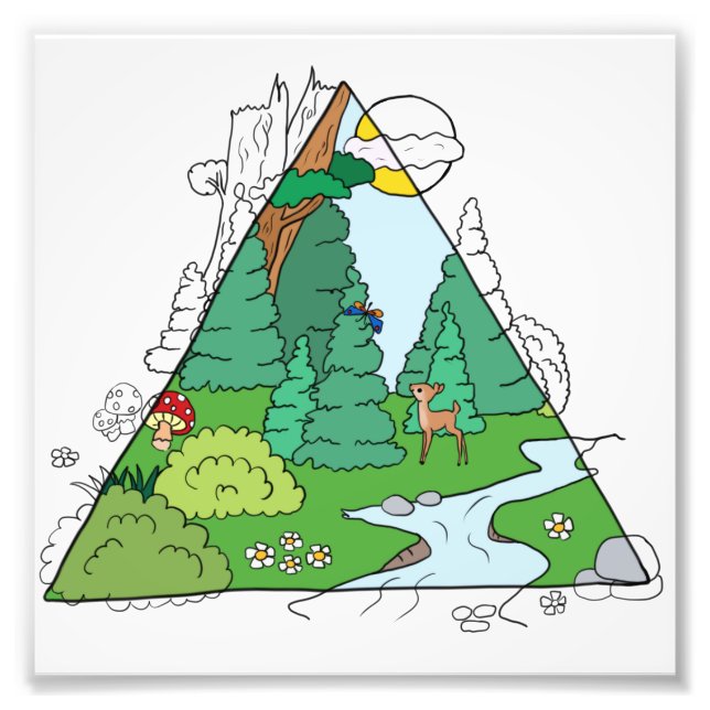 Foto Representación de bosque (Frente)