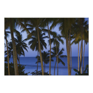 Foto República Dominicana, Península de Samaná, Las