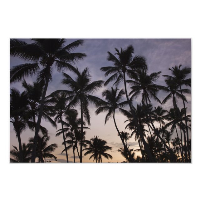 Foto República Dominicana, Península de Samaná, Las 2 (Frente)