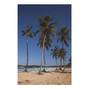 Foto República Dominicana, Región de Punta Cana, El