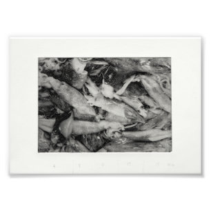 Foto Resplandor del mercado