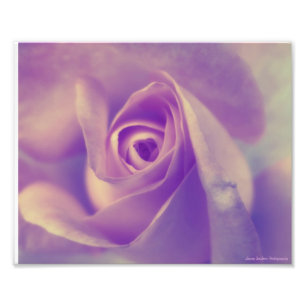 Foto Resto pacífico