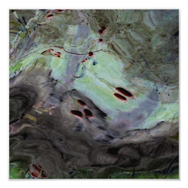 Foto Resumen de "caderas Rosas" Reflexión editada en My (Frente)