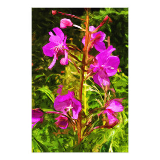 Foto Resumen de flor silvestre rosa en Alaska