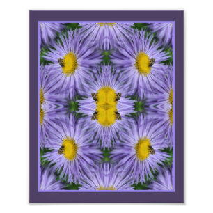 Foto Resumen De La Naturaleza De Las Flores De Aster Pú