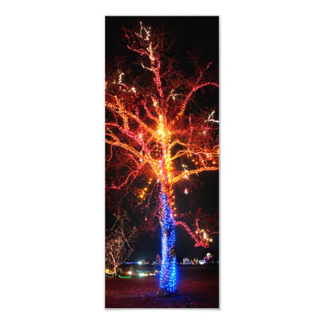Foto Resumen de las luces del árbol de Navidad (Frente)