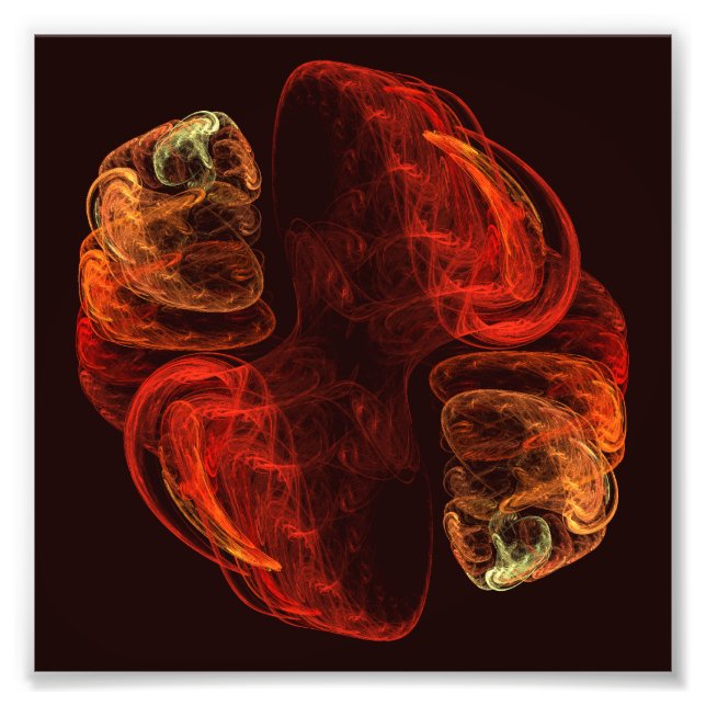 Foto Resumen de Metamorphosis Imagen de arte (Frente)