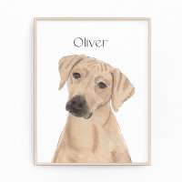 Retorno Rodesiano Personalizado Reversible