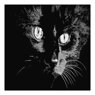 Foto Retrato artístico de gato negro de carbón vegetal