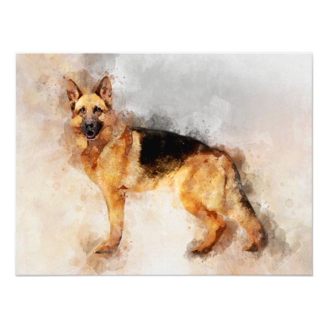 Foto Retrato de acuarela de perro pastor alemán 02 (Frente)