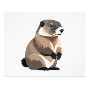 Foto Retrato de arte gráfico con vectores de marmot Esp