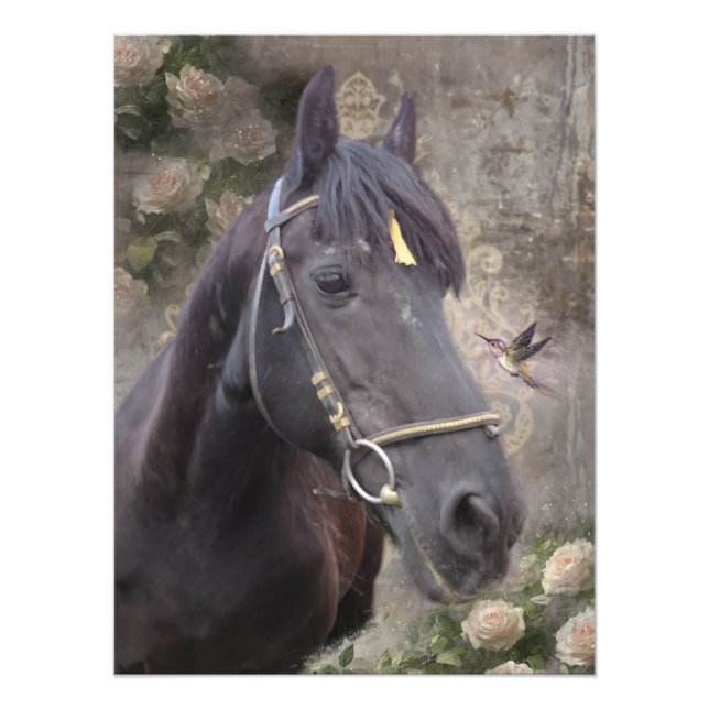 Foto Retrato de caballo frisón - Póster (Frente)