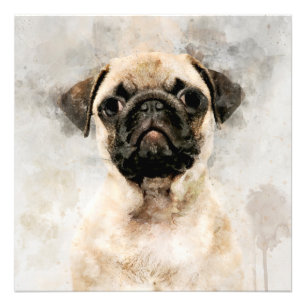 Foto Retrato de color de agua de perro de pug 01