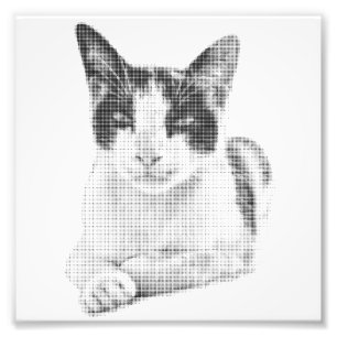 Foto Retrato de gato en trama de semitonos