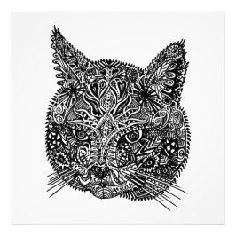 Foto Retrato de gato ornamental blanco y negro