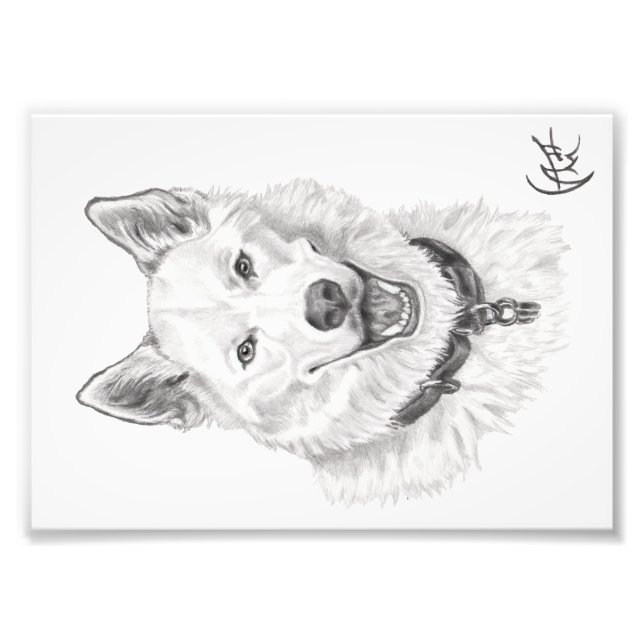 Foto Retrato de Loki (Frente)