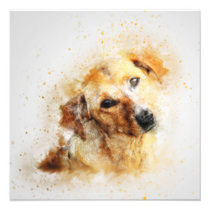 Foto Retrato de perro Mascota Arte Resumen Vintage