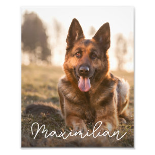 Foto retrato de perro personalizado con nombre