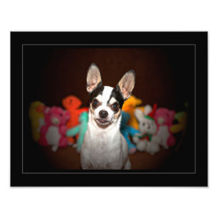 Foto Retrato de un chihuahua