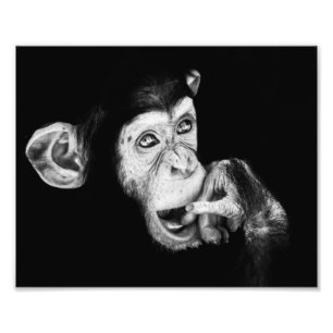 Foto Retrato de un chimpancé del pensador