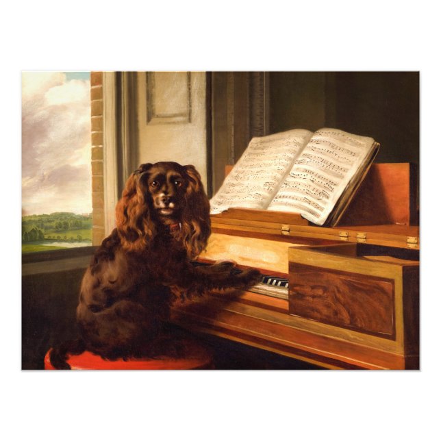 Foto Retrato de un perro musical extraordinario (Frente)